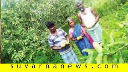 ಕುಡಿತದ ದಾಸನಾಗಿದ್ದ ಯುವಕನಿಗೆ ಯುವ ರೈತ ಪ್ರಶಸ್ತಿ, ಸಕ್ಸಸ್‌ಫುಲ್ ರೈತನ ಸೂಪರ್ ಸ್ಟೋರಿ