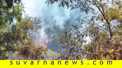 ಕಾವೇರಿ ವನ್ಯಧಾಮದಲ್ಲಿ ಬೆಂಕಿ: 6 ಎಕರೆ ನಾಶ