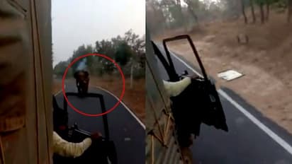 ലോറിയുടെ ബോണറ്റ് കുത്തിയടര്ത്തി കാട്ടാന, പിന്നെ സംഭവിച്ചത്!