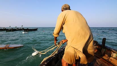 मालामाल हुआ मछुआरा, दो मछलियों ने बदल दी किस्मत