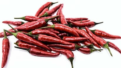 വറ്റല്മുളകിന് വില കൂടിയോ, കാര്യമാക്കണ്ട, ഇനി മുളക് വീട്ടില് കൃഷി ചെയ്യാം!