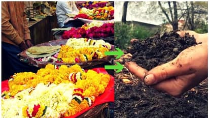 ഈ ക്ഷേത്രങ്ങളില് നേദിക്കുന്ന പാല് മോരാകും, പൂക്കള് മരങ്ങള്ക്ക് വളമാകും; വ്യത്യസ്തമായ രീതി പിന്തുടര്ന്ന് ക്ഷേത്രങ്ങള്...