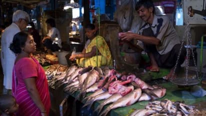 বহুদিন পর রবিবারের বাজার সস্তা, বাঙালির ব্য়াগ থেকে উঁকি দিচ্ছে মাছের লেজ