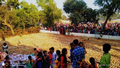 মাঘ পড়তেই শুরু বামুনবুড়ির পূজো, সন্তুষ্ট করতে পঞ্চাশ হাজার মালসা ভোগ