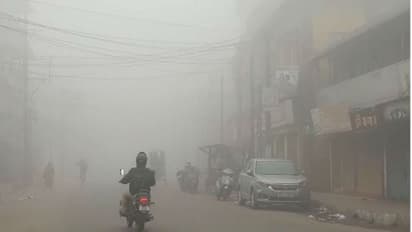 చలి గాలులు, దట్టమైన పొగమంచు.. దేశంలో మరో మూడు రోజులు ఇదే వాతావరణం: ఐఎండీ