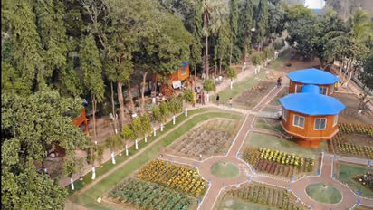 বাঁকুড়ায় ট্রি হাউসে রাত কাটানোর সুযোগ, জেনে নিন কীভাবে বুকিং, কত খরচ