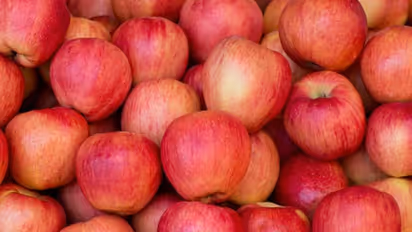 കശ്മീരി ആപ്പിൾ കടൽ കടക്കും; ആദ്യമായി രുചിക്കാൻ യുഎഇ