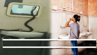 గర్ల్స్ హాస్టల్ బాత్రూమ్ లోకి పాము.. వీడియో వైరల్