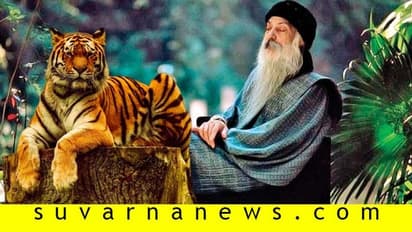 ಆ ಹುಲಿ ಕೊನೆಗೂ ಗರ್ಜಿಸಿತು: ಓಶೋ ಹೇಳಿದ ಕಥೆ!