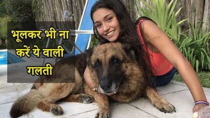 खूंखार कुत्ते के साथ फोटोशूट करवा रही थी लड़की, इसके बाद जो हुआ उसे जिंदगीभर रखेगी याद