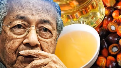 Mayhem in Malaysia: PM Mahathir Mohamad confesses 'they are too small to take retaliatory action' over India's palm oil boycott