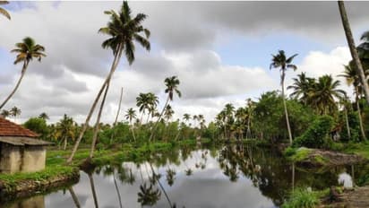 കരിപ്പേൽ ചാൽ പുനർജനിച്ചു; ഒപ്പം കരകയറിയത് ഒരു കൂട്ടം മനുഷ്യരും