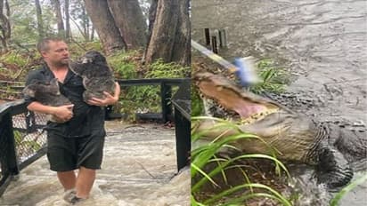 पहले आग, अब बाढ़ से तबाह हुआ ये देश, पानी में तैरती नजर आ रही मौत