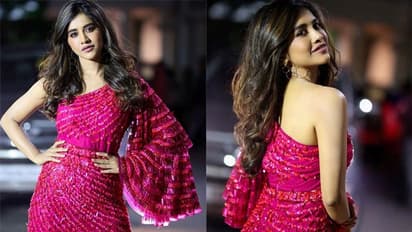 పింక్ గౌనులో ఇస్మార్ట్ పాప... హాట్ నెట్ కి ఫ్యాన్స్ ఫిదా!