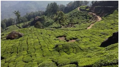 സിപിഎം ഓഫീസ് ഉള്പ്പെടെ പുറമ്പോക്ക് ഭൂമിയില്; ഉദ്യോഗസ്ഥര്ക്കെതിരെ നടപടി വേണമെന്ന് തഹസീൽദാർ