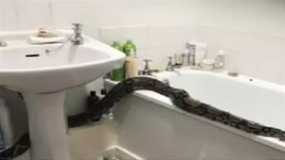 आधी रात लड़की के बाथरूम में घुसा बिन बुलाया मेहमान, फिर पड़ोसियों ने सुनी चीख