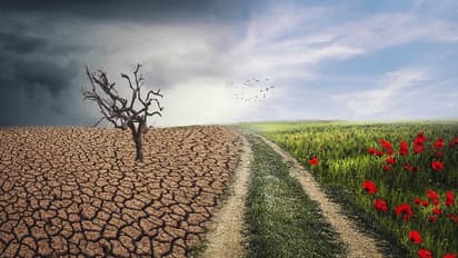 കാലാവസ്ഥ വ്യതിയാനത്തിന്റെ അടയാളങ്ങള് കണ്ടെത്താന് പുതിയ മാര്ഗം