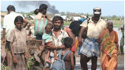 காணமல் போன 20000 தமிழர்கள் இறந்துவிட்டதாக அதிர்ச்சி அறிவிப்பு... சினம் கொண்ட சீமானின் தம்பிகள்..!