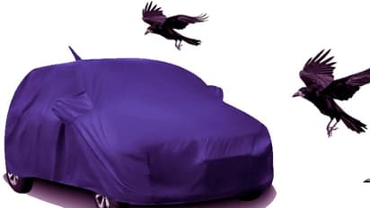 കാക്കയെ പേടിച്ച് കാര്‍ മൂടിയാല്‍ സംഭവിക്കുന്നത്!