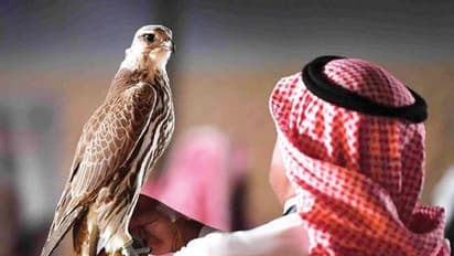 അന്താരാഷ്ട്ര പക്ഷിമേള ജനുവരി 31 മുതൽ