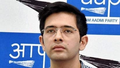 AAP नेता राघव चड्ढा ने कहा, 'दिल्ली चुनाव में नागरिकता कानून, NRC का नहीं होगा कोई असर'