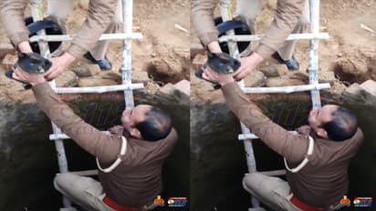 కుక్క పిల్లల కోసం ప్రాణాలకు తెగించి.. పాముల బావిలోకి దిగి..