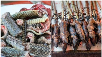 കൊറോണാവൈറസ് ആദ്യം പ്രത്യക്ഷപ്പെട്ട മാംസച്ചന്തയിൽ വിറ്റിരുന്നത് പാമ്പിന്റെയും പെരുച്ചാഴിയുടെയും മുള്ളൻപന്നിയുടെയും ഇറച്ചി