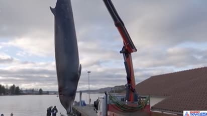 इस एक फोटो से हिल गया था पूरा देश, भारत समेत दुनियाभर के लिए है इसमें सबसे बड़ा सबक