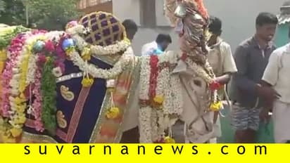 ಪವಾಡ ಸೃಷ್ಟಿಸೋ ಬಸವಣ್ಣಗಳ ಕತೆ ನಿಮಗೆ ಗೊತ್ತಾ?