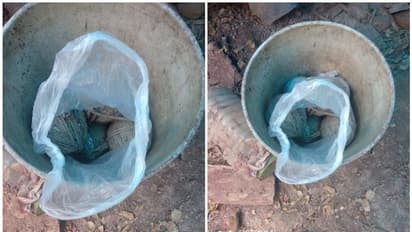 കണ്ണൂരിൽ കണ്ണവത്ത് ബോംബ് ശേഖരം കണ്ടെത്തി; പിടിച്ചെടുത്തത് 9 നാടൻ ബോംബുകൾ