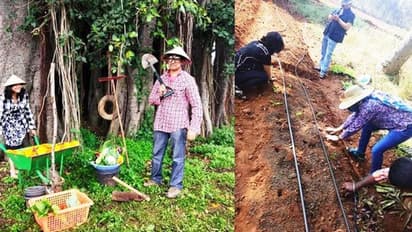 മൊബൈല്‍ ആപ്പ് വഴി കൃഷിസ്ഥലം കാണാം; ഇഷ്ടമായെങ്കില്‍ മാത്രം പച്ചക്കറി വാങ്ങാം