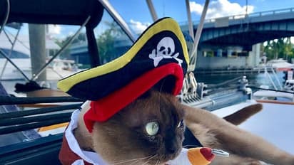 കരയല്ല, കടലാണ് റിഗ്ബിയുടെ ഇടം; മിസ് റിഗ്ബിയുടെ യാത്രകള്‍