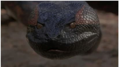 അനക്കോണ്ടയുടെ പുനരാവിഷ്കാരം വരുന്നു