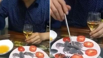 ജീവനുള്ള എലിയെ സോസില് മുക്കിക്കഴിക്കുന്നു; വൈറലായി അസ്വസ്ഥതപ്പെടുത്തുന്ന വീഡിയോ...