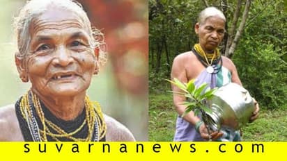 23ನೇ ವಯಸ್ಸಿನಿಂದಲೂ ಗಿಡ ನೆಡುತ್ತಲೇ ಇದ್ದಾರೆ 72 ವರ್ಷದ ತುಳಸಿಗೌಡ