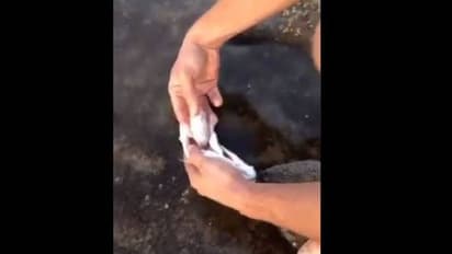 കയ്യിലെടുത്തപ്പോള്‍ വയറില്‍ എന്തോ തടഞ്ഞു, മീനിന്‍റെ വയറുകീറിയപ്പോള്‍ കിട്ടിയത് നിറയെ പ്ലാസ്റ്റിക്...