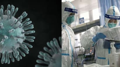 Coronavirus: Goa government to form special task force after deadly virus suspected in Rajasthan