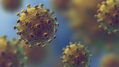 കൊറോണ മുന്കരുതല്: കേന്ദ്രസംഘം കൊച്ചിയിൽ, 288 പേര് ആരോഗ്യവകുപ്പിന്റെ നിരീക്ഷണത്തില്