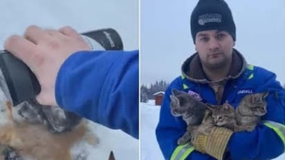 മഞ്ഞിൽ ഉറഞ്ഞുപോയ പൂച്ചക്കുഞ്ഞുങ്ങളെ രക്ഷപ്പെടുത്താന് യുവാവ് ചെയ്തത്; വീഡിയോ കാണാം
