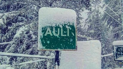 শীতের ছুটিতে অফবিট ট্রিপ, পর্যটকদের আকর্ষণ বাড়াচ্ছে অউলি