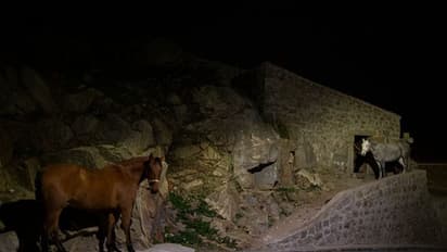 കുതിരകളെ കത്തിയാളുന്ന തീയിലൂടെ നടത്തുന്ന ആചാരം, ആചാരമാണ് അവസാനിപ്പിക്കില്ലെന്ന് നാട്ടുകാര്