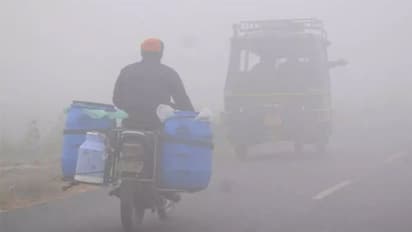 पंजाब, हरियाणा में जारी है शीतलहर, चंडीगढ़ में कुछ ऐसा है तापमान