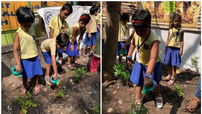 ഹരിതകേരളം കെട്ടിപ്പടുക്കാൻ പങ്കാളികളായി കുരുന്നുകള്