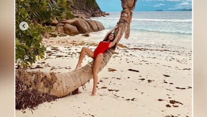 সমুদ্র সৈকতে লাল মনোকিনিতে ছেলের সঙ্গে ফোটোশ্যুটে ভাইরাল অ্যামি, দেখে নিন ছবিগুলি