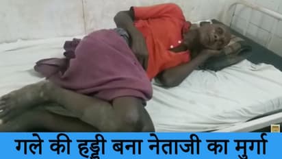 वोट के बदले नेताजी ने दिया था मुर्गा, मुफ्त का माल समझकर ऐसे खाया कि गले में फंस गई हड्डी