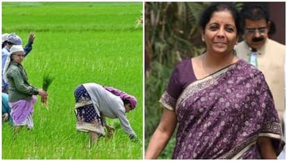 விவசாயிகளுக்கு நிம்மதியை தருமா நாளைய பட்ஜெட்?