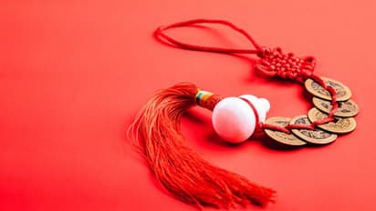 ধনতেরাসের আগে ঘরে আনুন এই তিনটি জিনিস, ঘটবে আর্থিক বৃদ্ধি, জেনে নিন কী কী