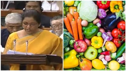 Budget 2020: నిర్మల సీతారామన్ కేంద్ర బడ్జెట్లోని కీలకమైన ముఖ్యంశాలు