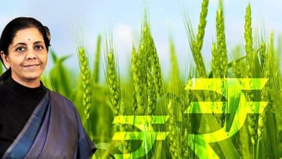 Budget 2020: గ్రామీణ మహిళలకు ధాన్యలక్ష్మి పథకం