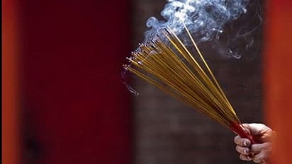 गुलाब की अगरबत्तियों से बेहतर हो सकती है याददाश्त, स्टडी में खुलासा